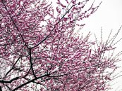 ������һ����֤���������� ���費��