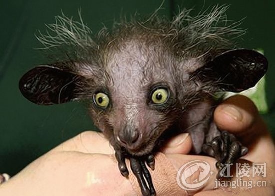 b8ac6f21decd177620fb25 (1).jpg