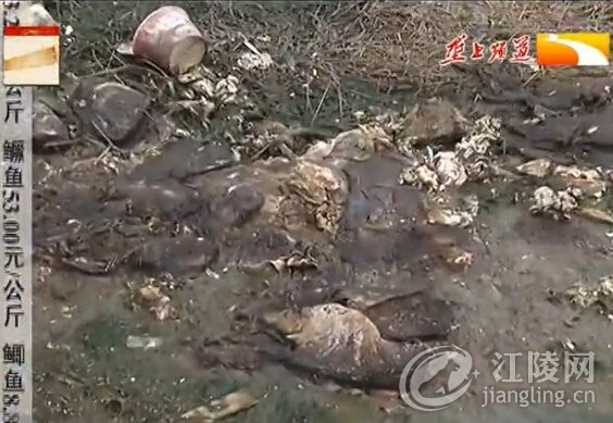 ��Ѩ��բ�壺�ţ����ţ������ȫ����������꣡