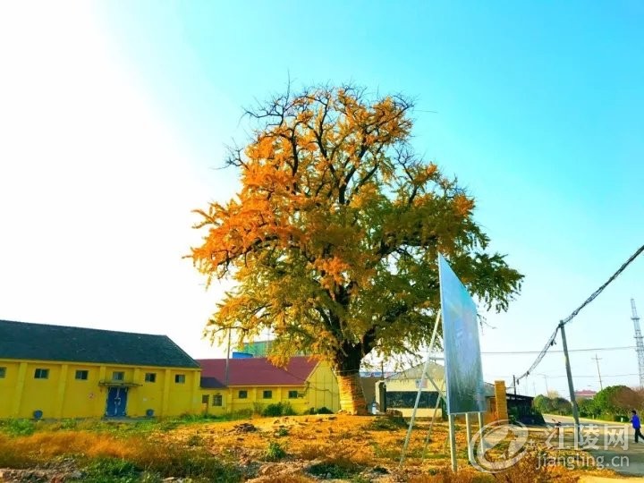 640 (1).webp (1).jpg