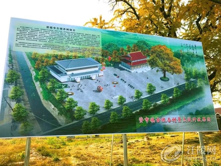 640 (1).webp (2).jpg