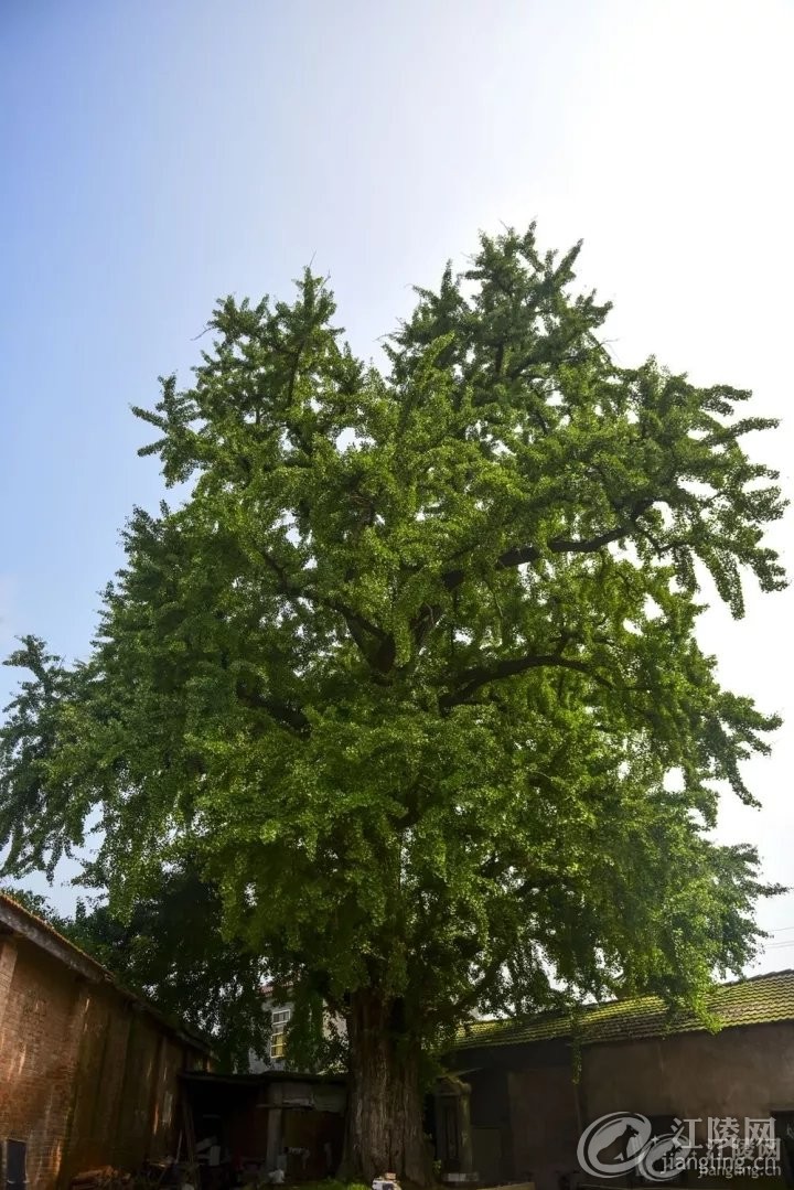 640 (1).webp (5).jpg