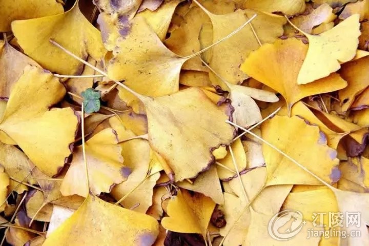 640 (1).webp (6).jpg