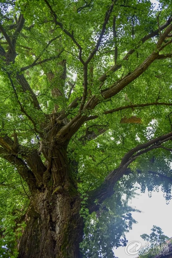 640 (1).webp (7).jpg