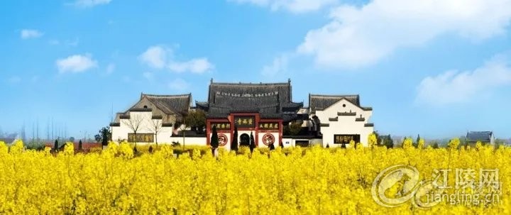 640 (1).webp (8).jpg