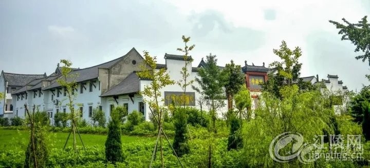 640 (1).webp (9).jpg