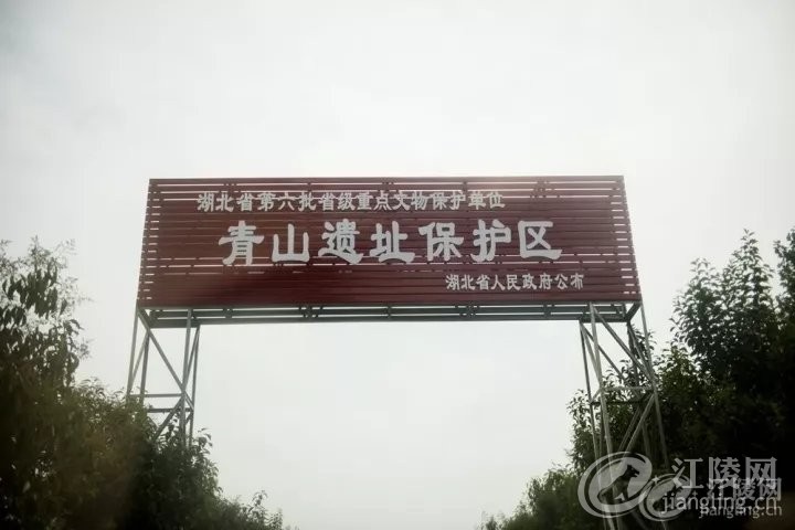 640 (1).webp (13).jpg