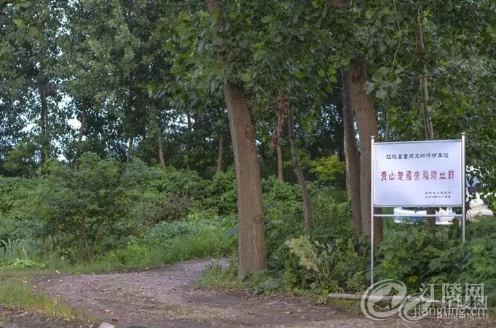 640 (1).webp (14).jpg