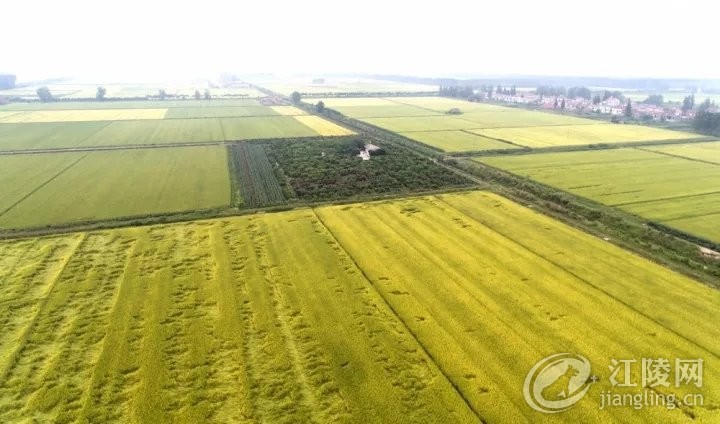 640 (1).webp (15).jpg