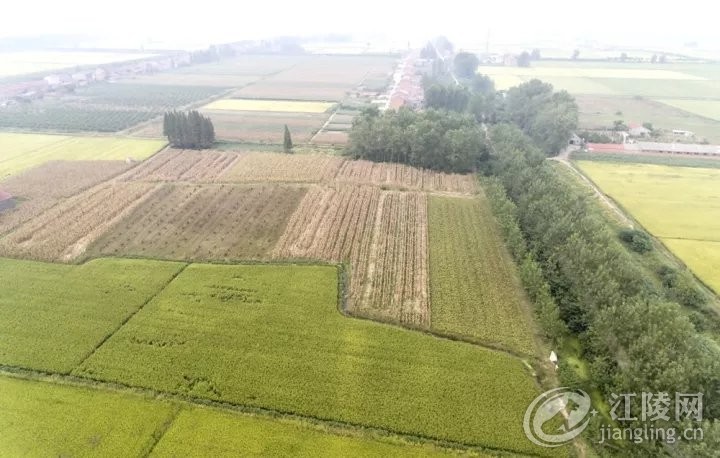 640 (1).webp (16).jpg