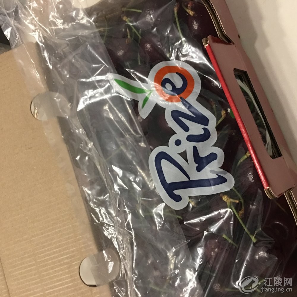 �ϵ�����