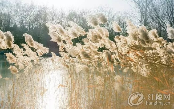 ������ʪ��֮������������½��� ���ꡢ���̡������ȵ���ʧ����