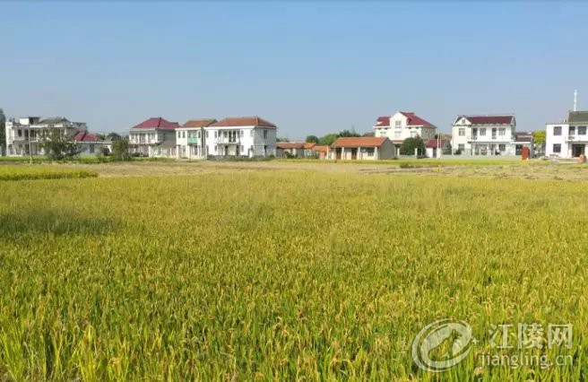 ����ũ��լ���ء���Ȩ���á��Ե㷽����̨����������ط�����