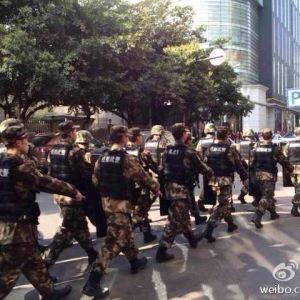 �ɶ�����·����Ⱥ��ɢ���¼� ϵ������ҥ����