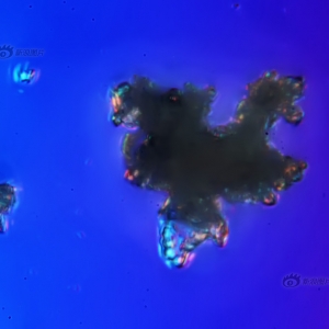 ǧ���Ŵ��ı���������