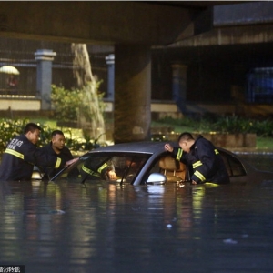 ǿ��������Ϯ���㶫 ����ֱ����������