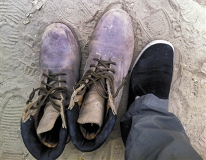 ͼ�ģ��½�56����ũ��ȫ����Ь��