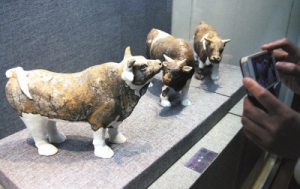 ��쾵�Ĺ��������չ��