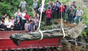 ǧ����ľ�ؼ�����������4000������