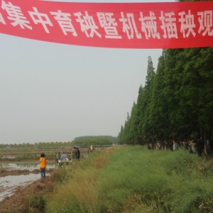 �������ٿ��絾���������߻�е�����ֳ���Ħ��