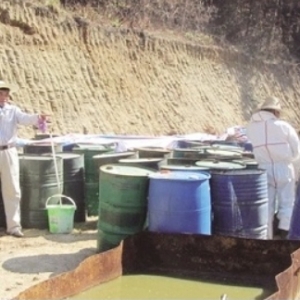 ͼ�ģ�ޭ������ǧ��͵���ж��������ϻ���