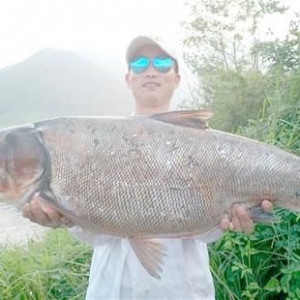 ����С�����1�׶೤������