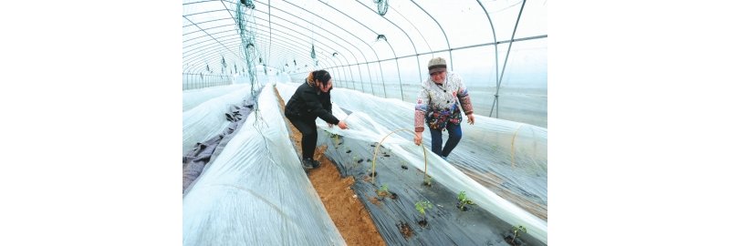 ������ũҵ԰ũ�� ���Է����߲�