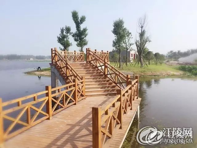 101620cbey0apo6dq0d6wb.jpg