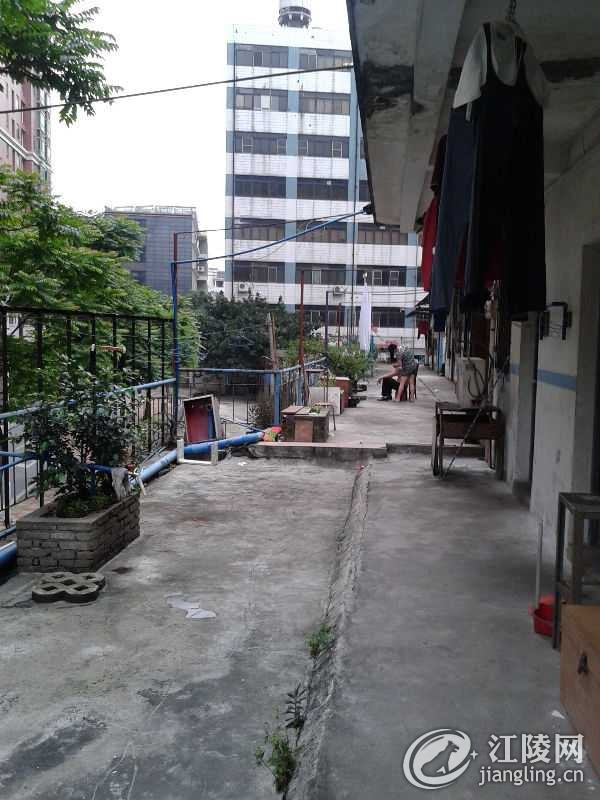 114406y2koqkoxlbd7475a.jpg