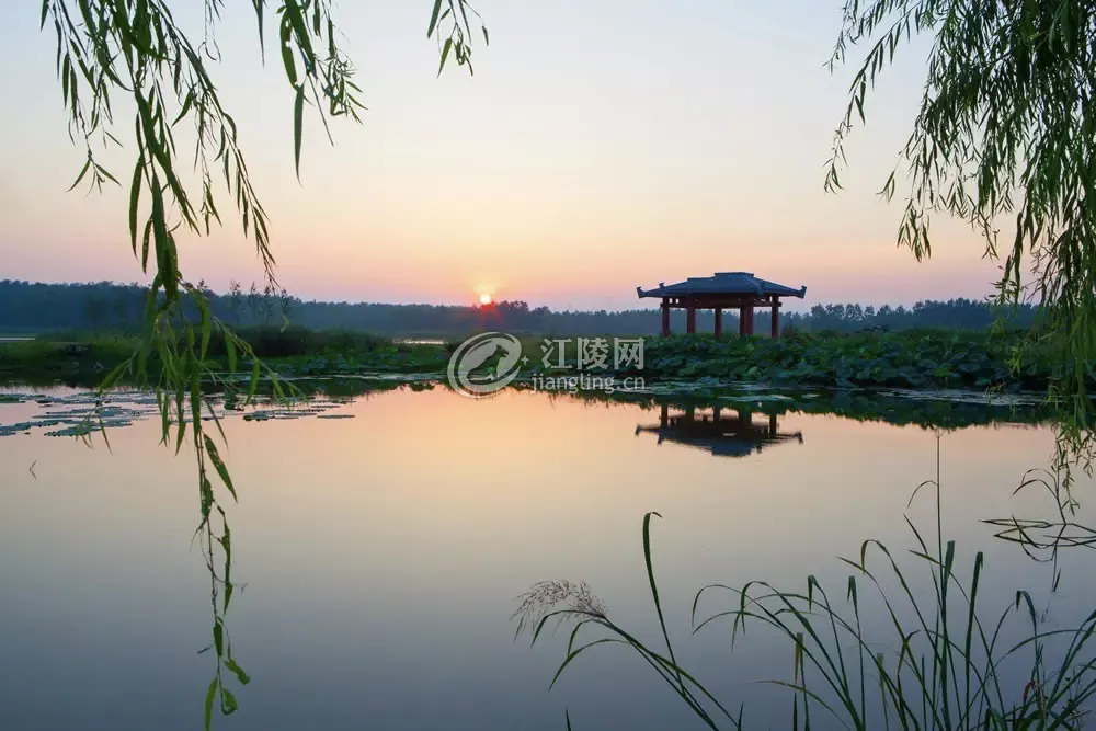 640.webp (24).png