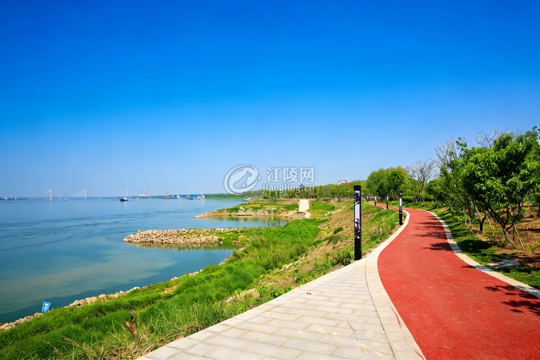 640.webp (31).png