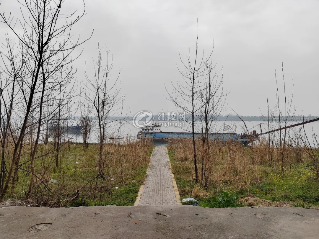 640.webp (17).png