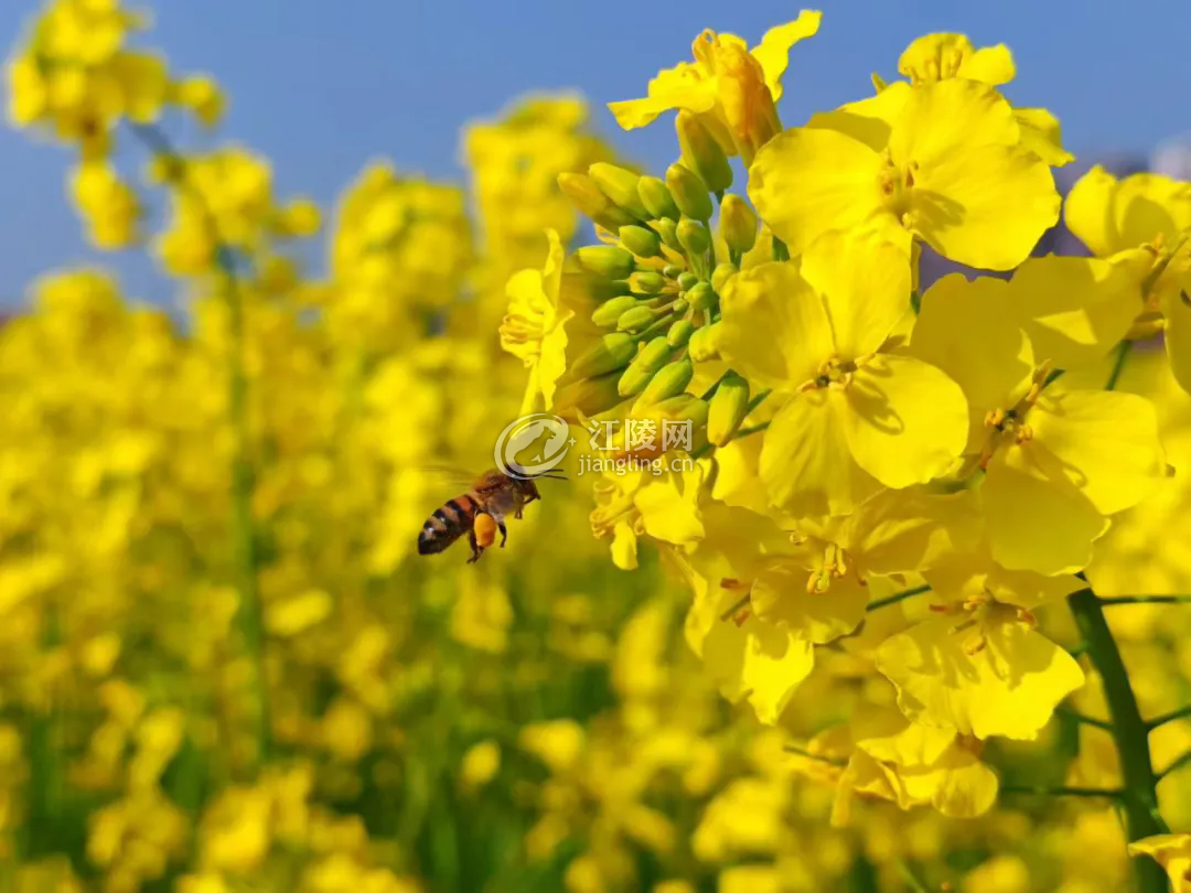 640.webp (13).png