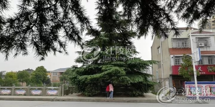 102204r0hpkf66pf6pltdf.jpg