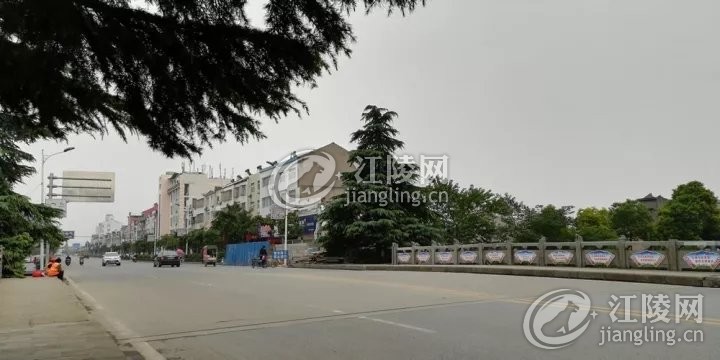 102205f9aoyiad1l9j1ile.jpg