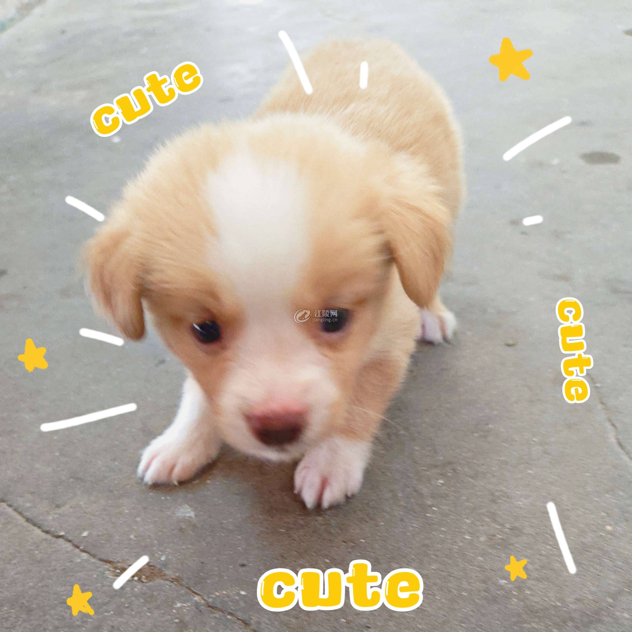 MEITU_20260616_140400165.jpg