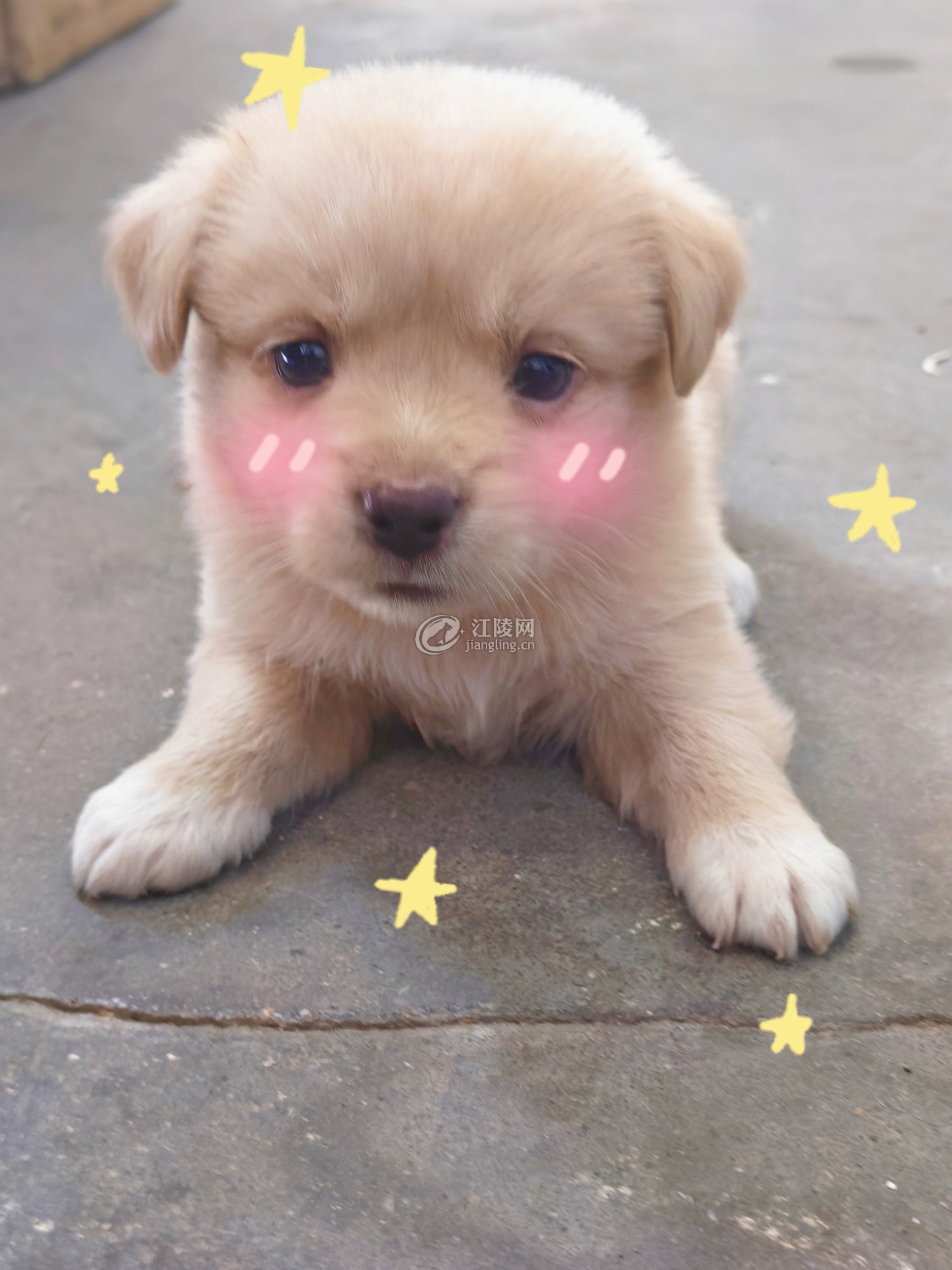 MEITU_20260616_140046954.jpg
