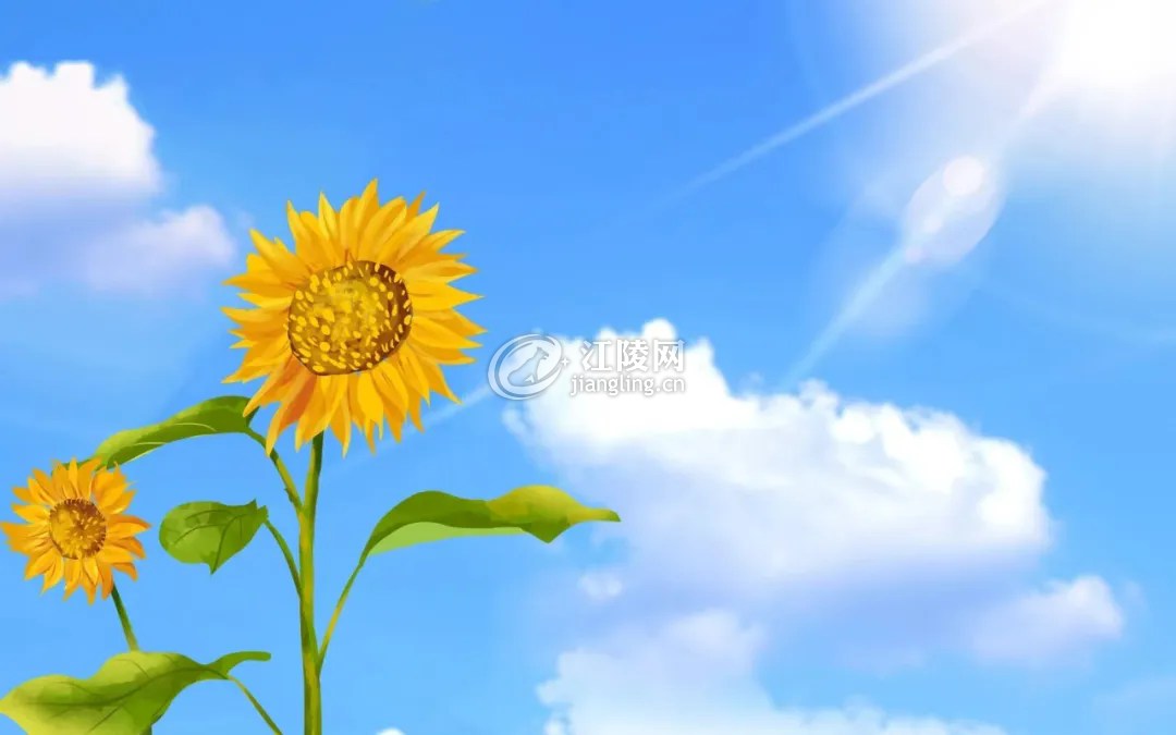 640.webp (1).png