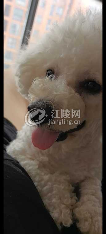 Screenshot_20260709_001958_com.huawei.himovie.local.jpg