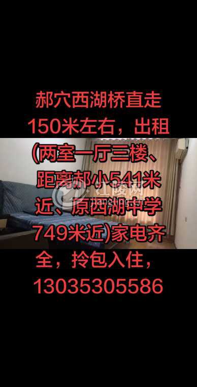 mmexport1775208930000.jpg