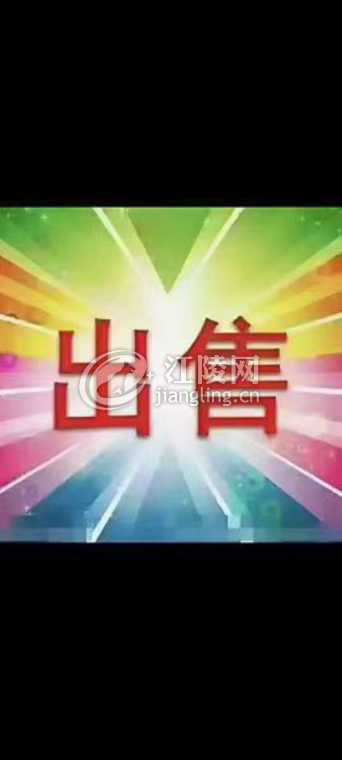 Screenshot_2026-05-02-13-08-29-32.jpg