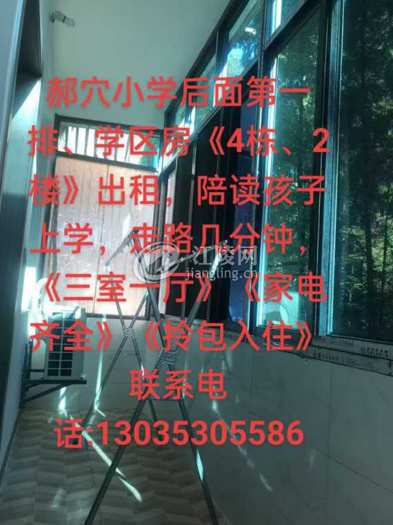 mmexport1770702181968.jpg