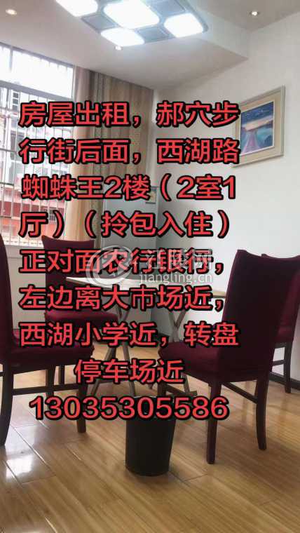 mmexport1775208920363.jpg