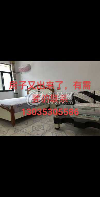 mmexport1775209095609.jpg