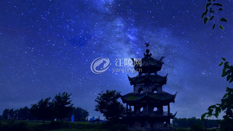 640.webp (5).png